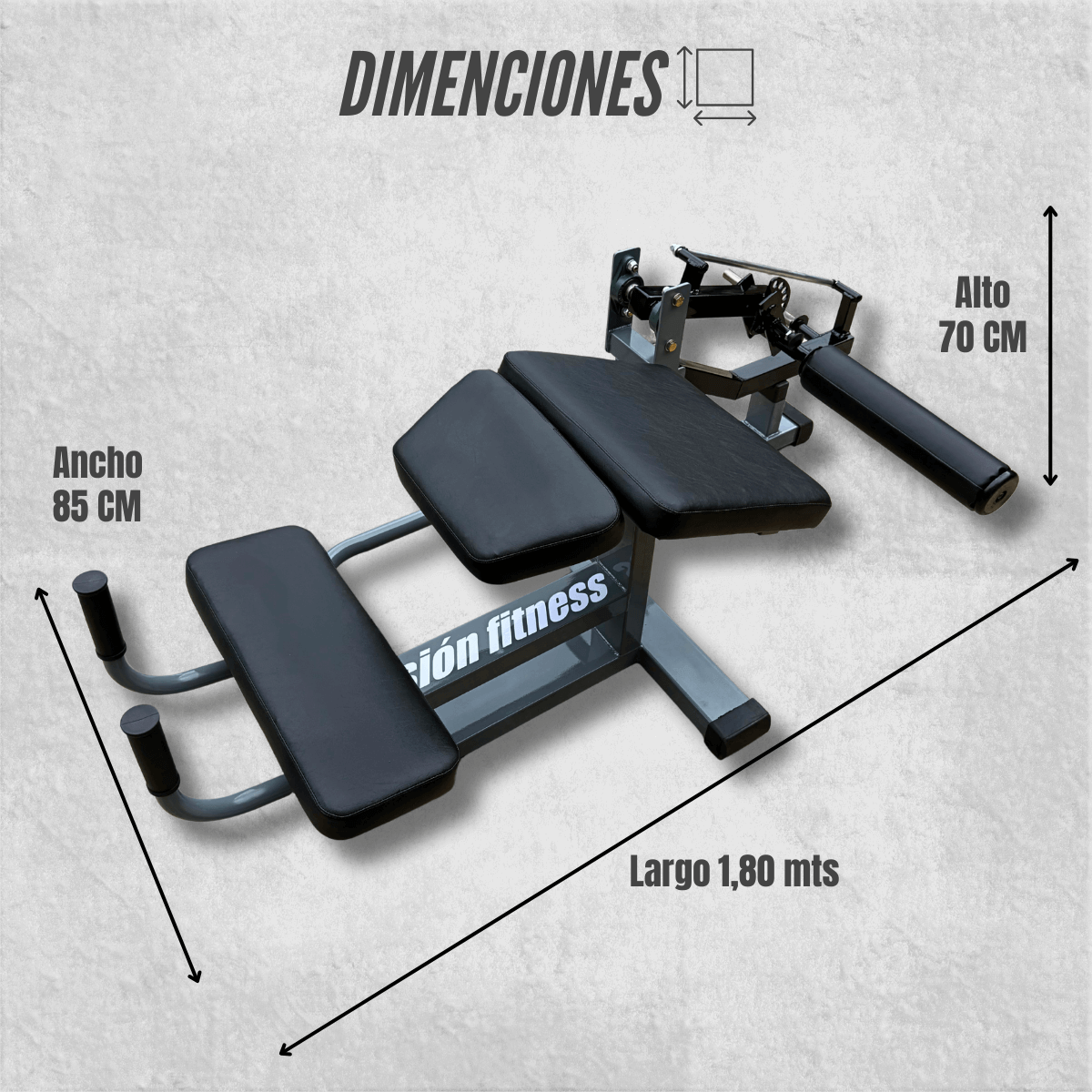 Camilla de Femoral a Discos